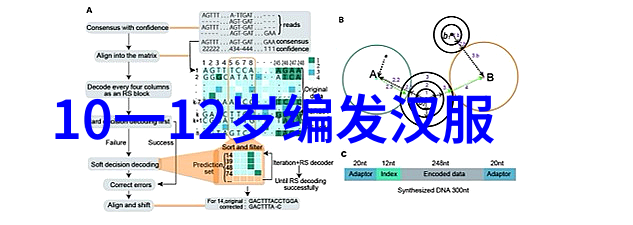 编发化妆培训班我来教你如何成为一名精通编发化妆的专家