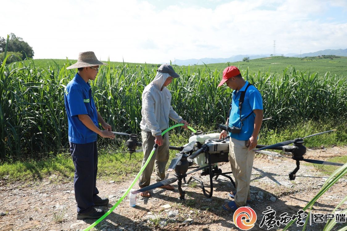 封建糟粕BY花卷我不想再吃那干燥的历史了揭开封建残余的面纱