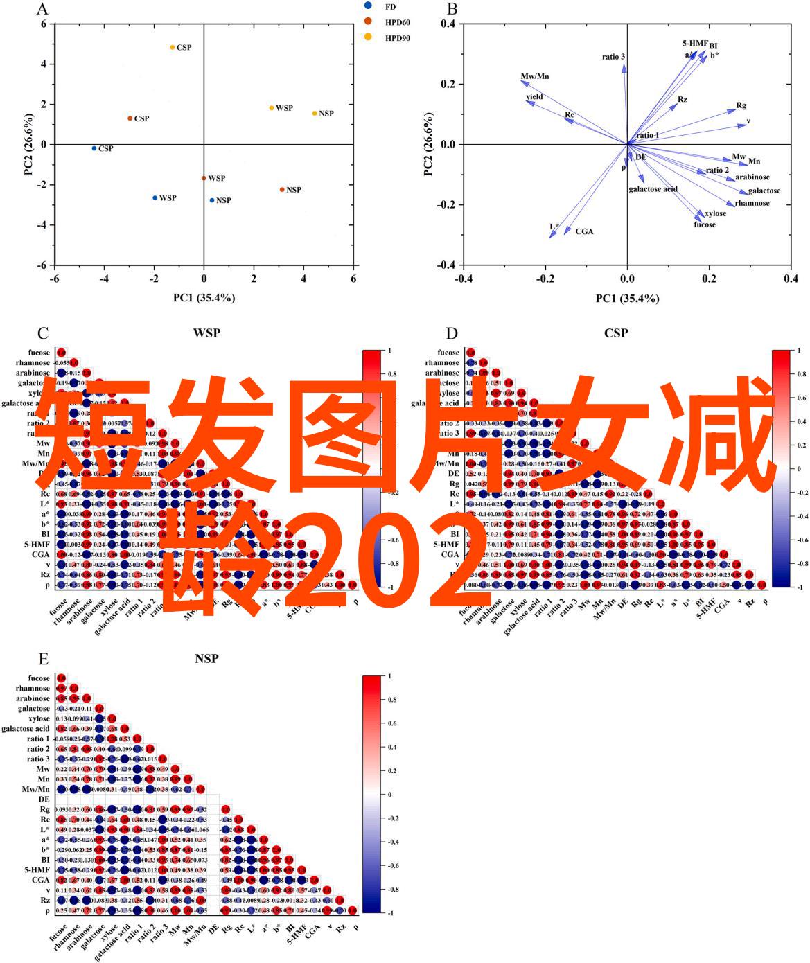 逆袭时尚如何通过短发直发让自己在50岁也显得年轻