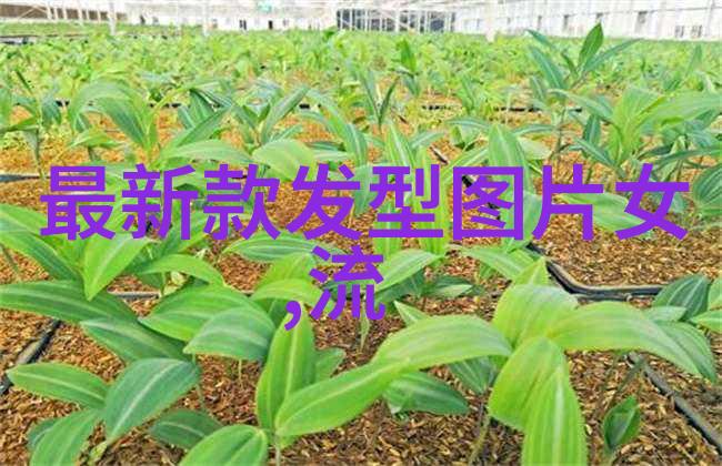 学理发要注意些什么掌握基础技巧安全操作客户沟通