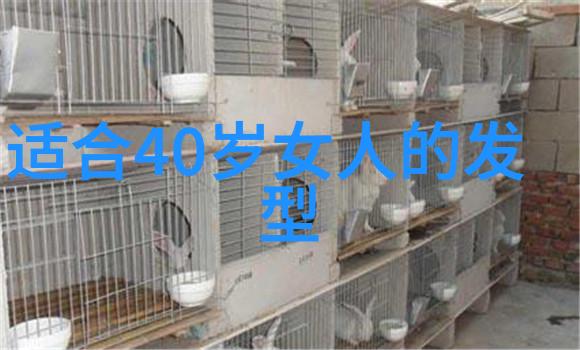 设计师眼中的351一款经典车型的诞生