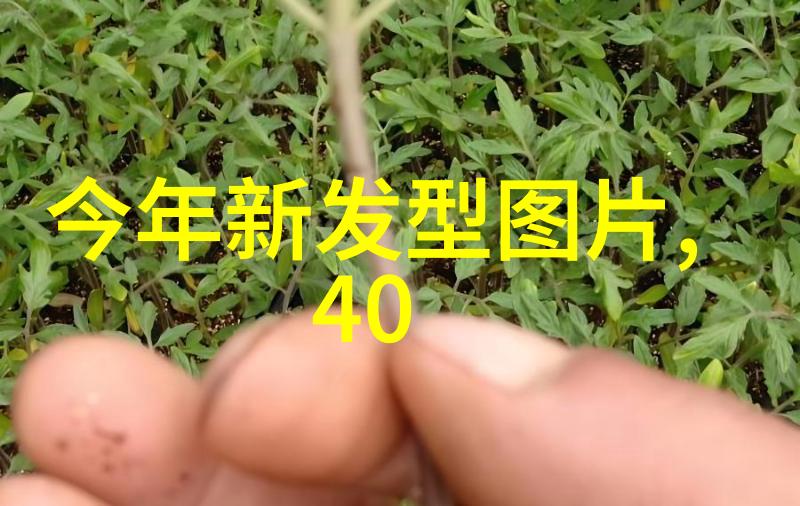 简约风格的短发适合哪种类型的女孩减龄