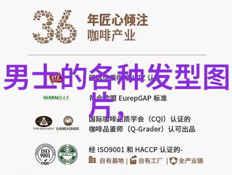 中年女性碎发造型研究探索适宜40岁女士的发型设计原则与实践策略