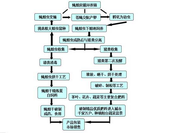 开襟风情下的JK双人运动轻盈与活力共舞