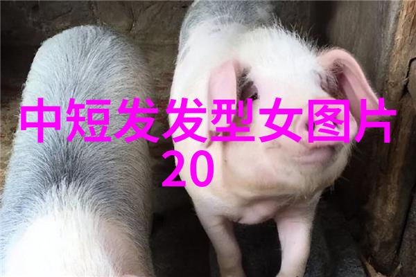 如何在日常生活中巧妙地搭配不同的头饰与今年流行的女生发型