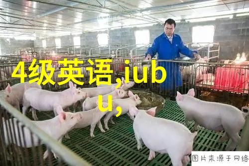 中年魅力大师40至50岁最佳发型选择指南