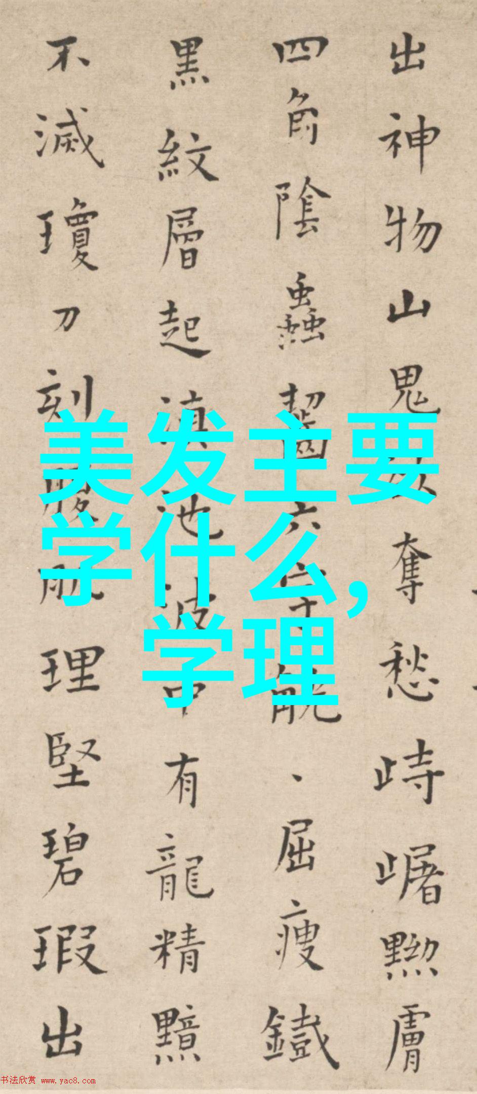 公主的新衣皇家纺织师精心打造的梦幻礼服