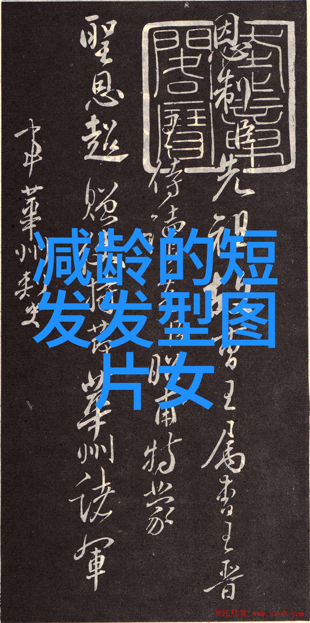 美发师课堂视频-精髓解析从基础技巧到创意造型的全方位学习