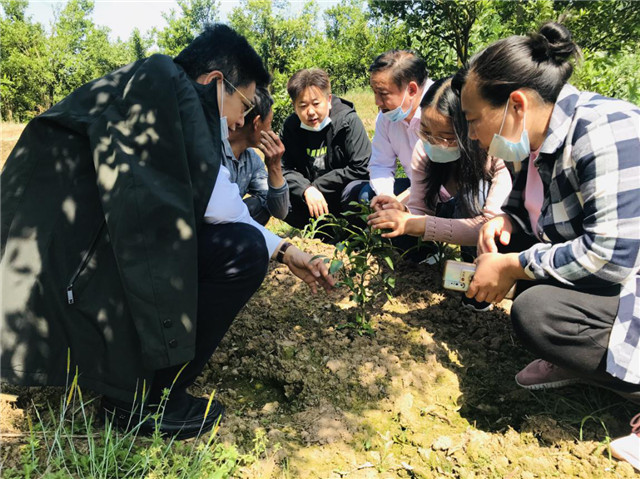 学会简单修剪自我管理男性的短发秘诀