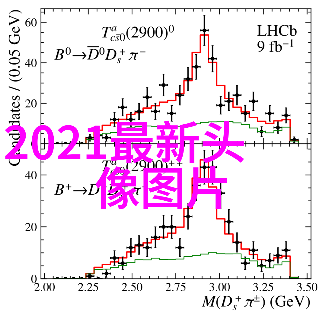 如何在家轻松洗出秀发的亮泽与柔顺详解每一步步骤