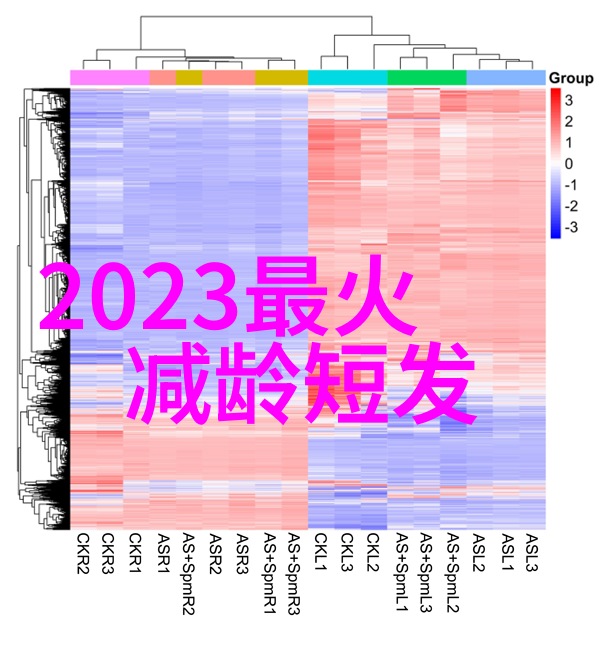 北京理工大学科技创新与未来发展的领航者