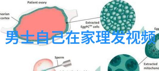 短发如何修饰脸型达到最佳视觉效果