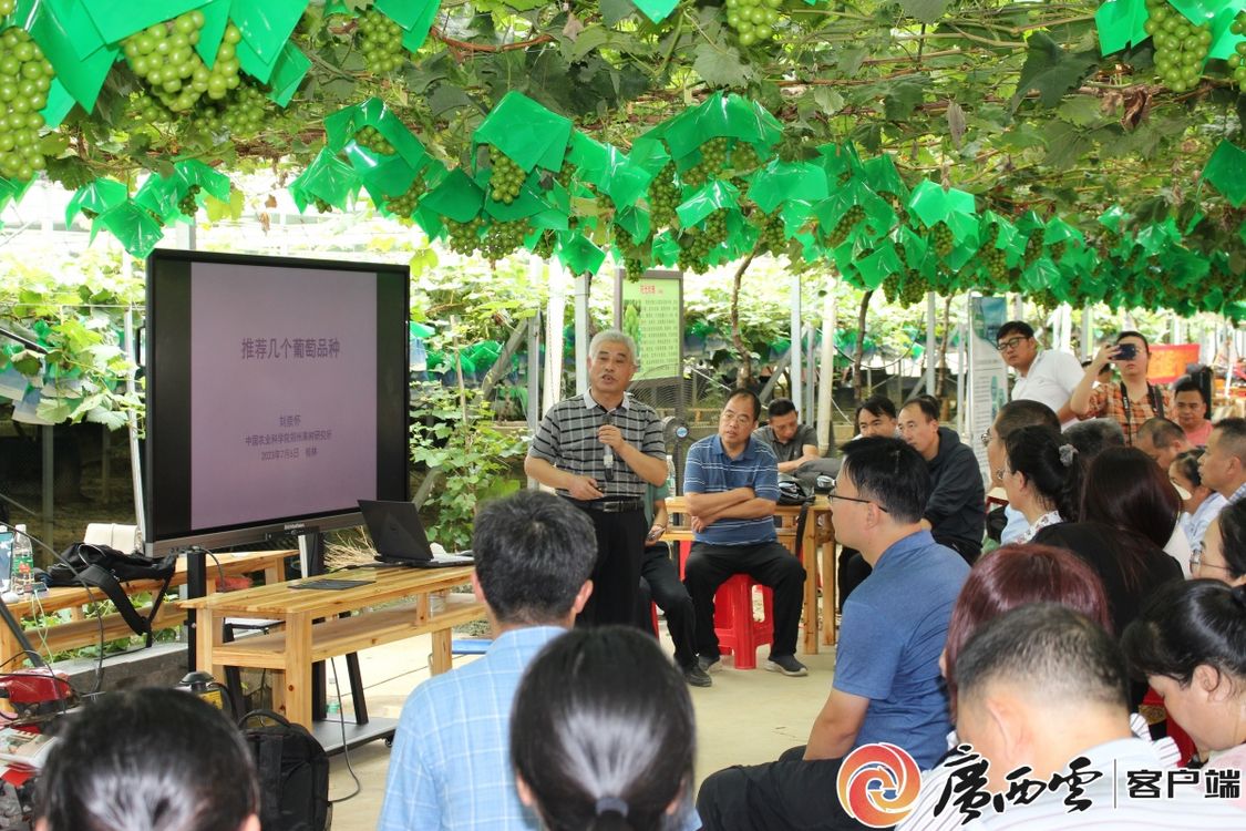 发丝之旅如何让你的美发学徒生涯更上一层楼