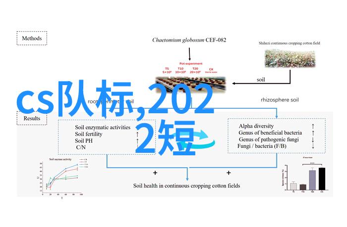 发型设计应用程序哪个最受欢迎探索最佳选项