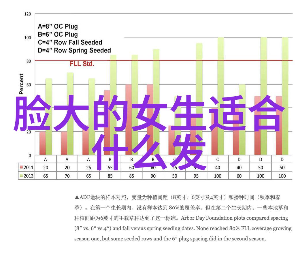 檀香美人谋沉默的香料与绽放的命运