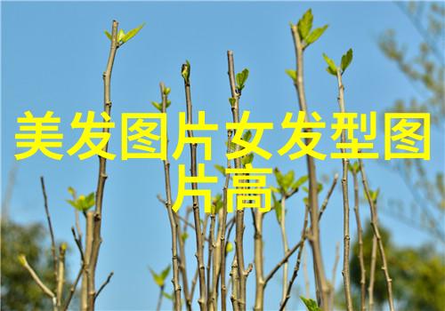 参加10元快剪培训班后我会有哪些实用的视频制作技能