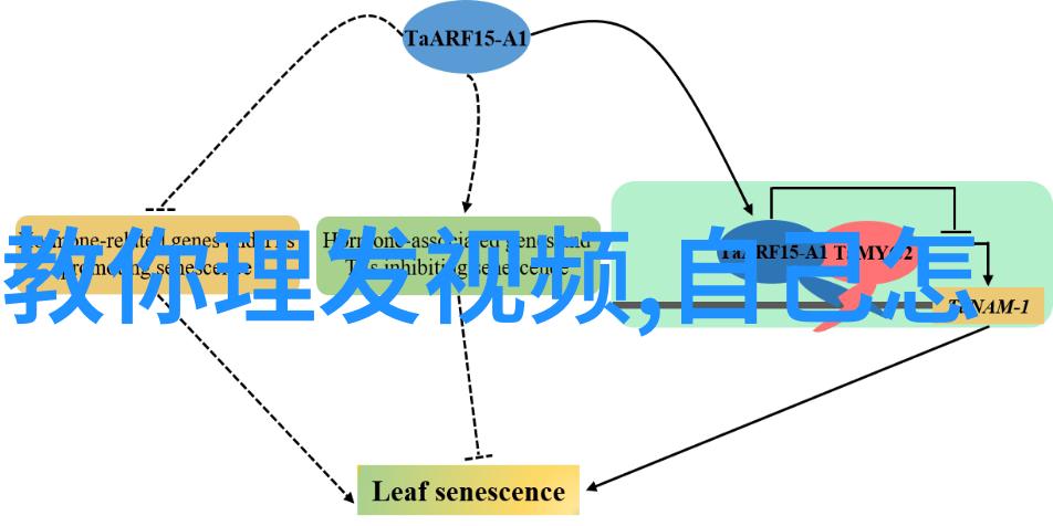 论遗传与环境因素为什么我的同龄人有的早早秃顶有的却保持着浓密黑发到40岁以上