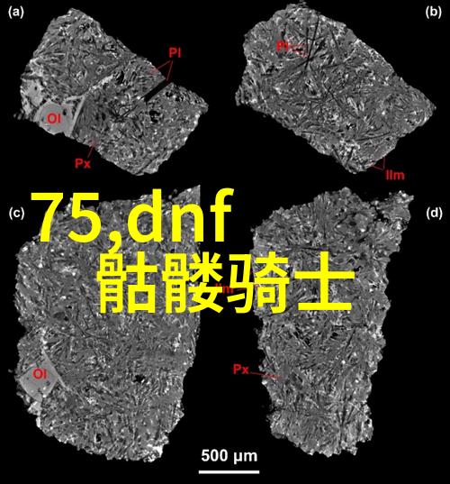 油头流浪的光影师