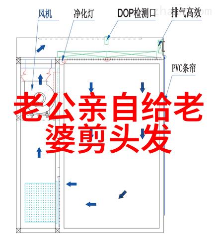 最新时尚潮流揭秘2023年最受欢迎的发型风格