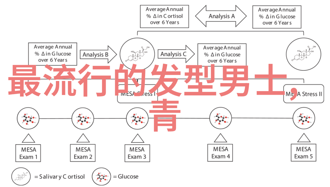 风中传说Coco de Mer的香艳传奇