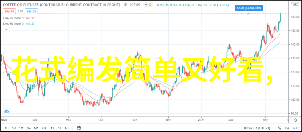 百变长发100种独特发型的艺术探索