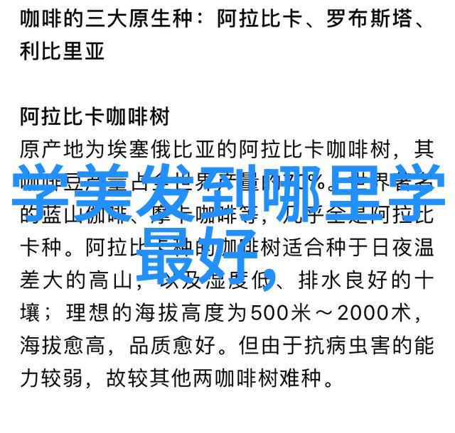 现代时尚发型我的秀发新宠爱好