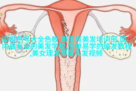 后部与边缘修整