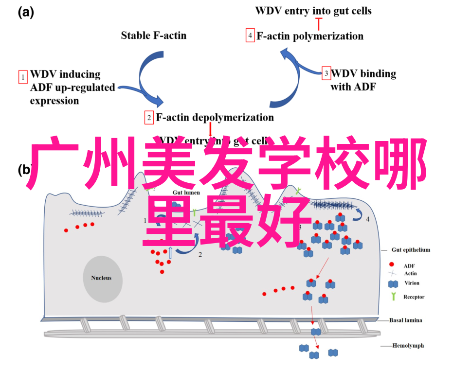 怎样剪男头发视频教程我来教你如何剪得精确又帅气