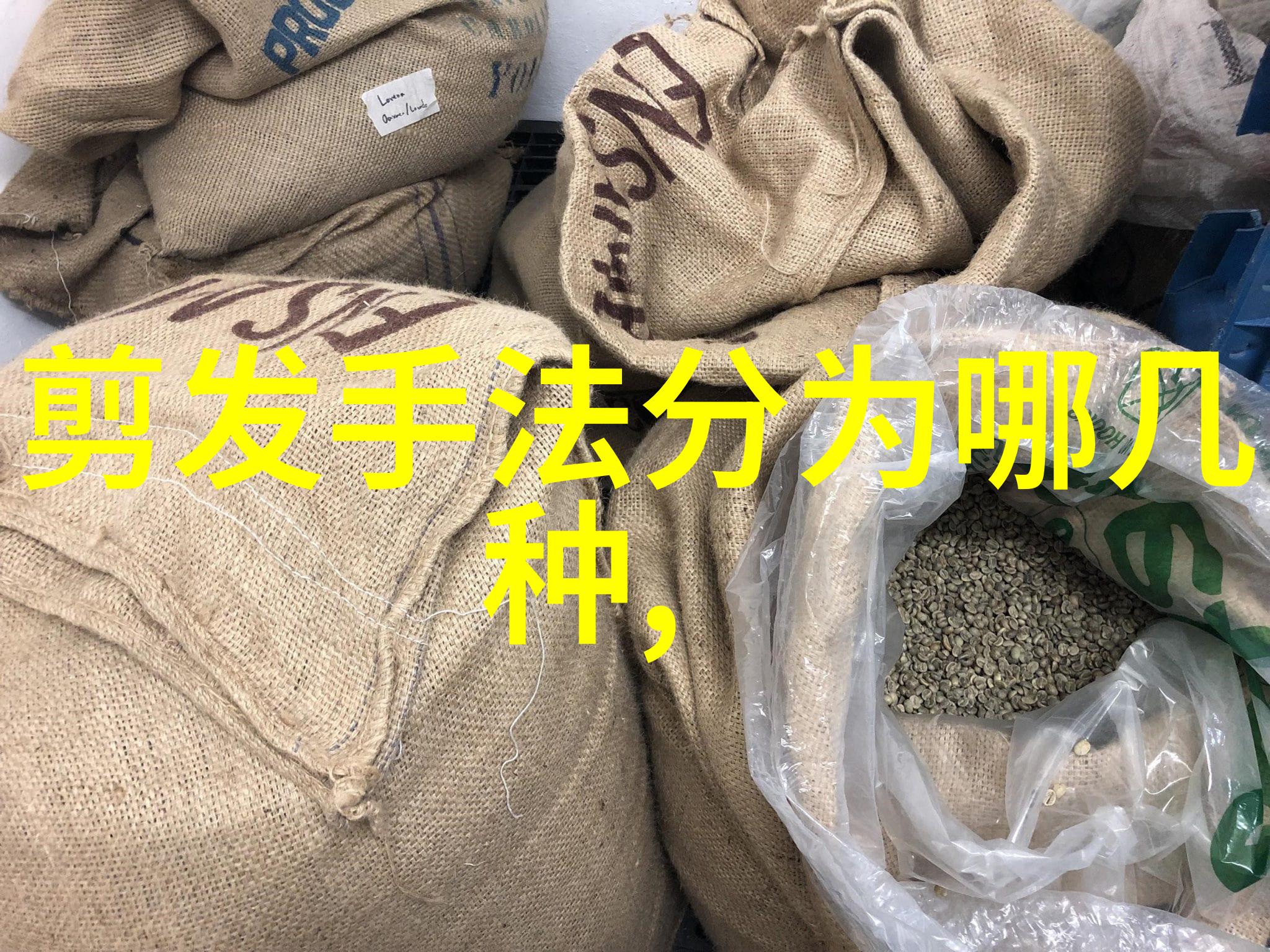 香港电视剧界的光芒TVB当家花旦的辉煌历程