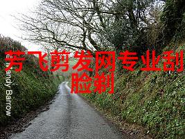 杨洪刚教你刮剪造型从基础技巧到精通每一款发型