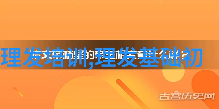 最好看的外国电影排名前十中的传记巨作普瑞希拉延期登上大银幕紧邀颁奖季核心夜空