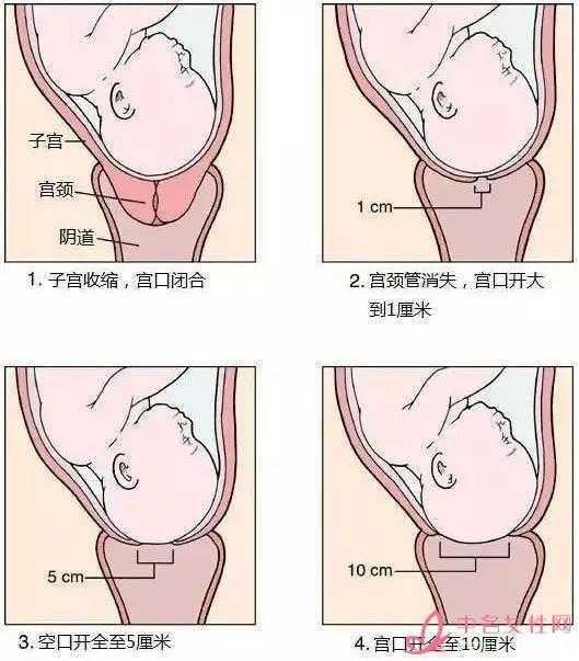 图片描述