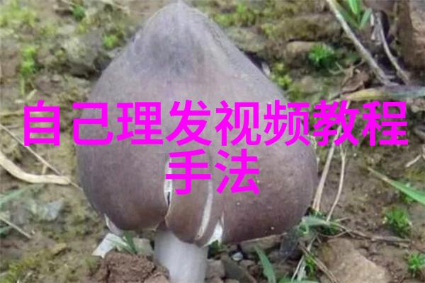 50岁女人减龄短发发型我是不是也可以用这样的发型来掩饰几分年华