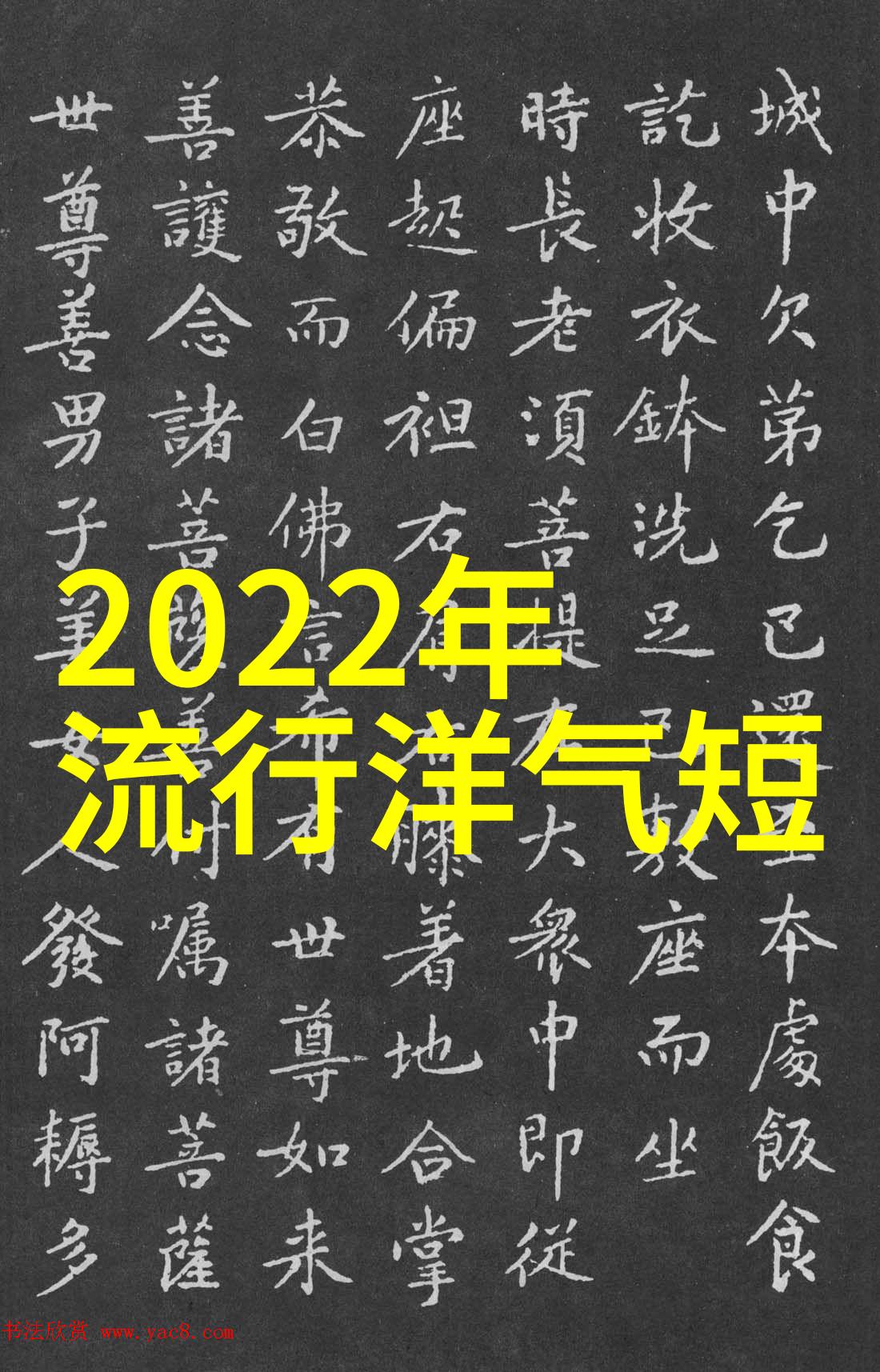 长发发型100种图片我来教你如何变身为一位时尚大师