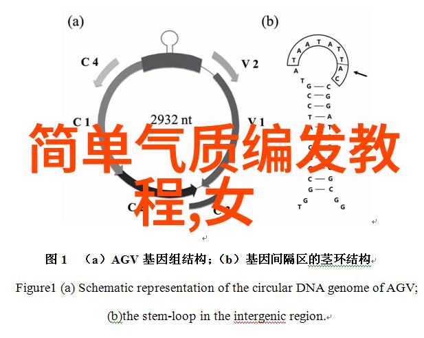 理发教学女士短发技巧精致造型指导