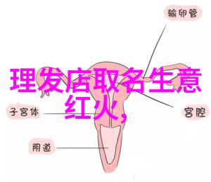 剪男头发视频教程精准技巧与详细步骤