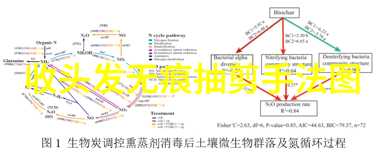 2022年最流行短发女生时尚图片展示精选最新发型风格