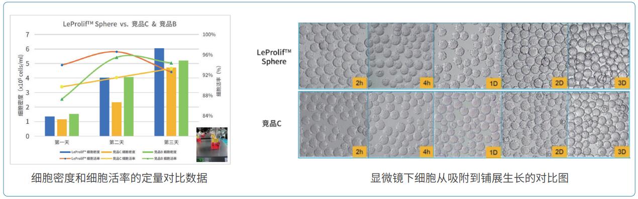 绿茵梦工厂园林设计师的花式奇遇