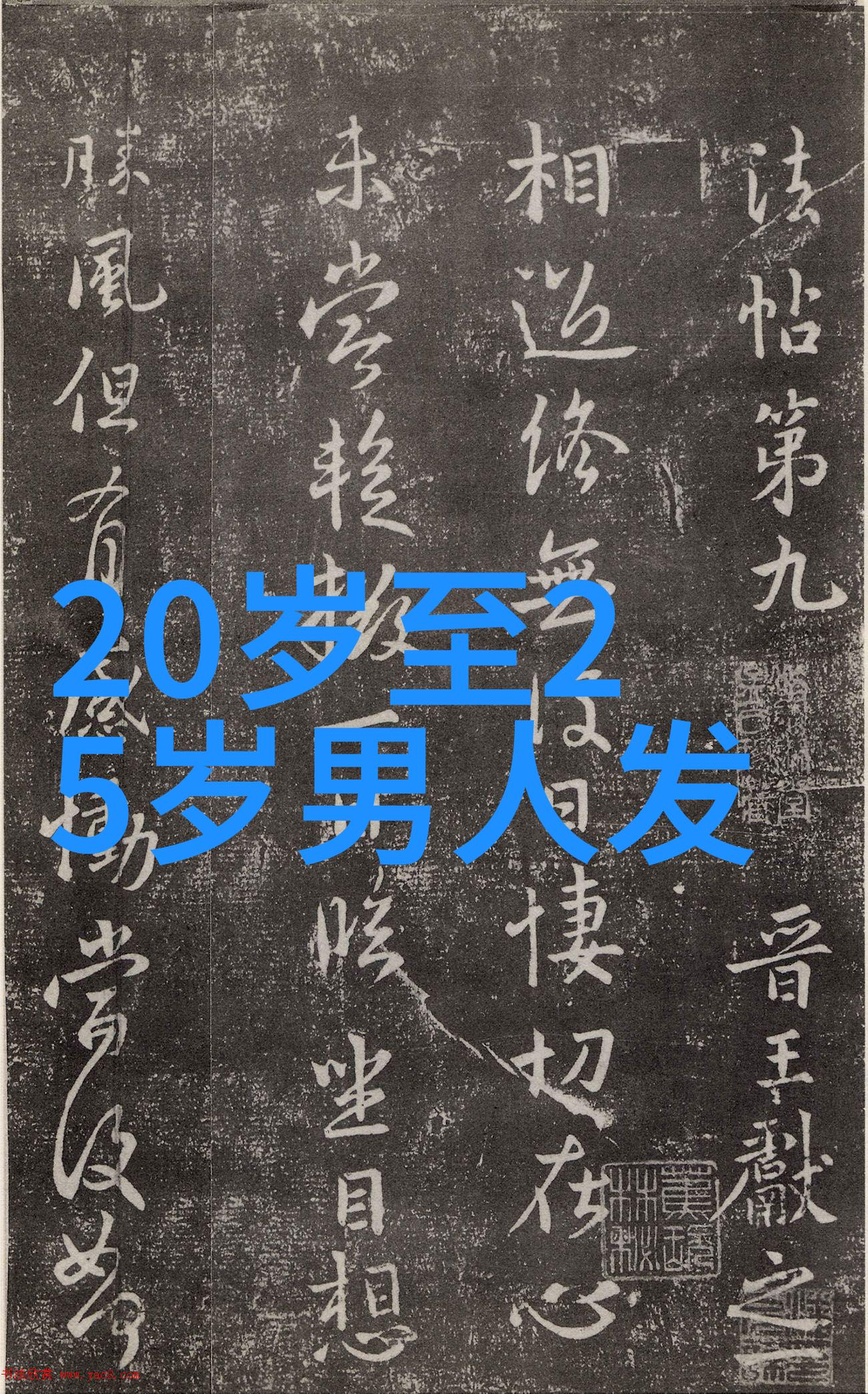 2023年最时尚的女性发型披肩长发短发造型与时下流行趋势