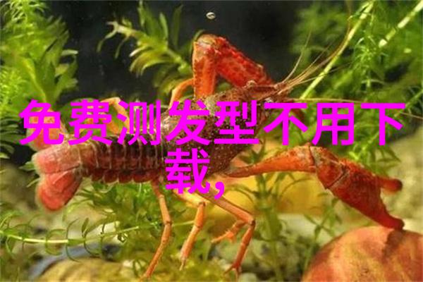 30岁女人短发减龄秘诀时尚打造青春风采