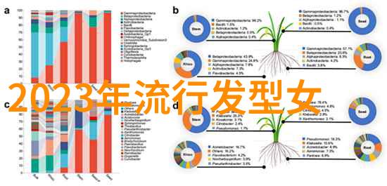 家庭理发宝典给老妈理发的简单视频教程