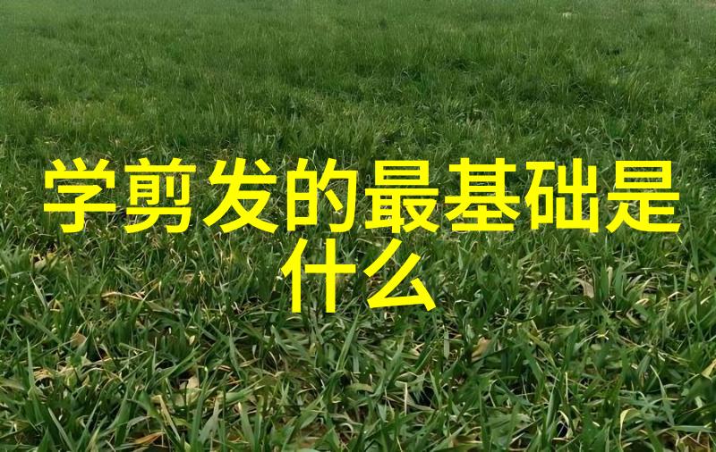 广州白云区尚艺美发学校俏女郎的时尚宴会侧发编织情感纽带