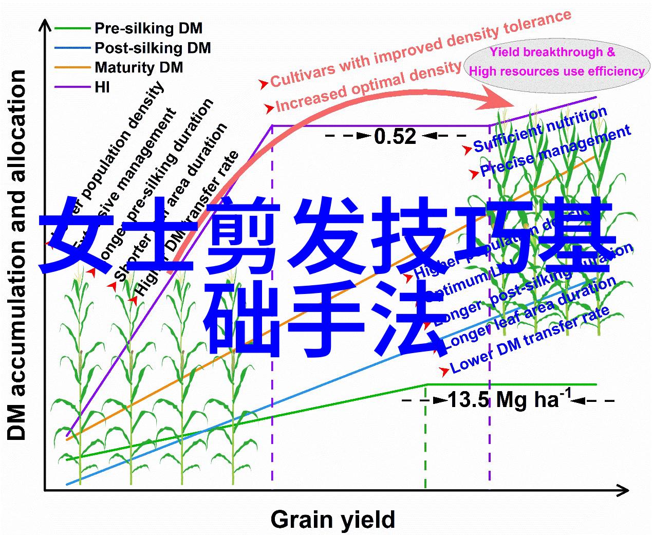 男士理发教学视频精湛技艺美发达人