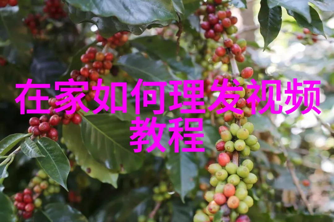 简单气质编发教程 - 轻松拥抱自然美简单气质编发技巧精解