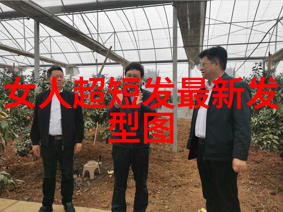 男士发型风格大集合一览各种时尚男发造型及精选图片介绍