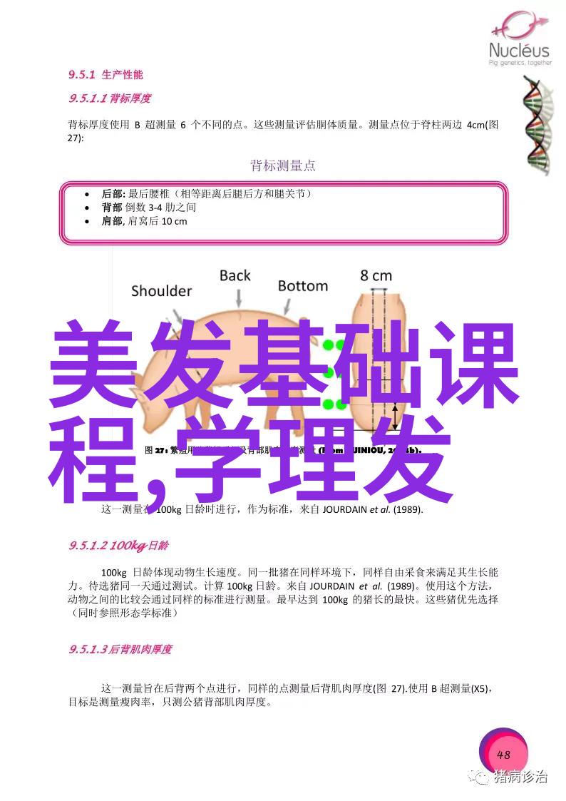 想学美发去哪里学-从入门到精通美发课程选择指南