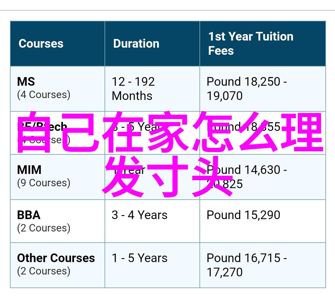 clamps风格下的东方传说东方奇幻的新篇章