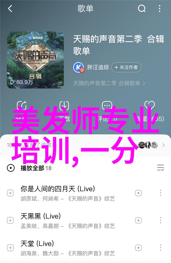 编发型视频教程美丽头发DIY