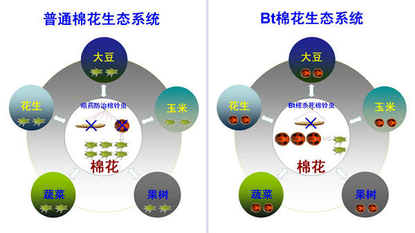 深度开发1V3全是肉的奇幻世界