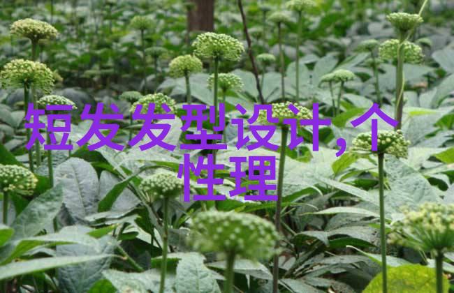 2019年最流行的超短发造型推荐